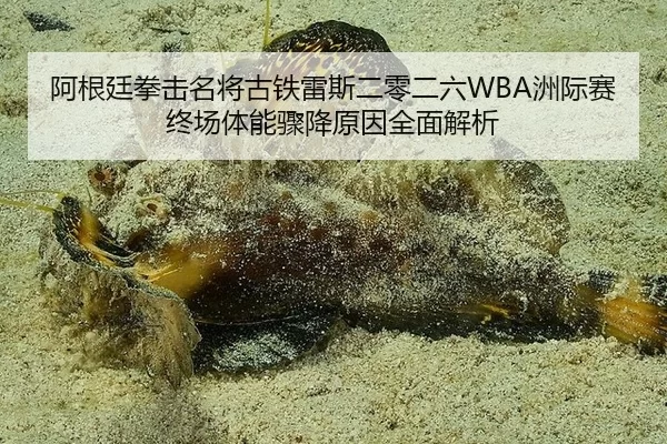 阿根廷拳击名将古铁雷斯二零二六WBA洲际赛终场体能骤降原因全面解析