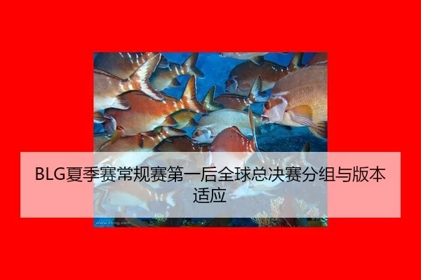 xia-ji-sai-chang-gui-sai-di-yi-hou-quan-qiu-zong-jue-sai-fen-zu-yu-ban-ben-shi-ying-3-594.jpg