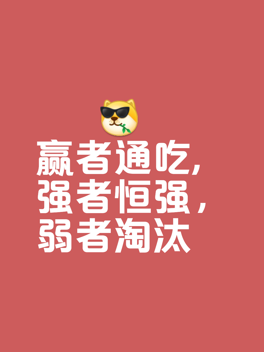 鼎立胜者，重整旗鼓拼搏赢得认可